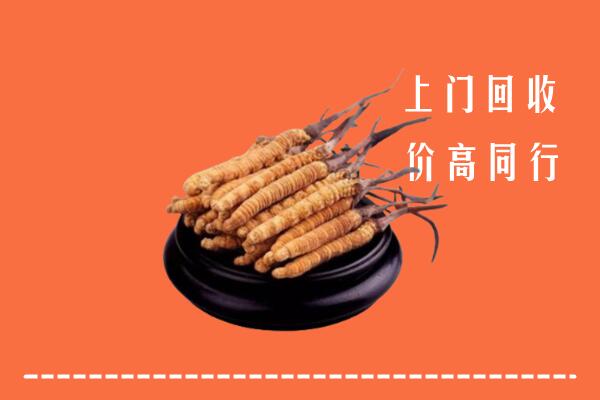 高价求购：运城万荣县回收散虫草