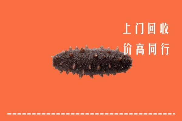运城万荣县回收海参