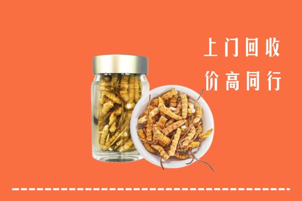 运城万荣县回收冬虫夏草