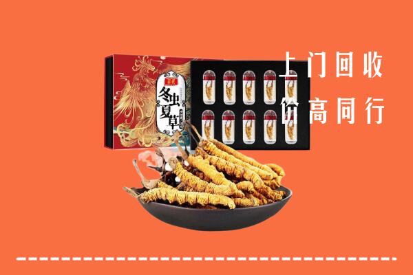 运城万荣县回收虫草